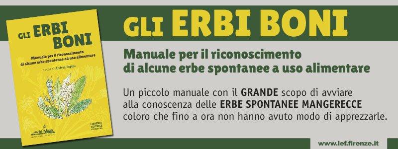 Erbi boni