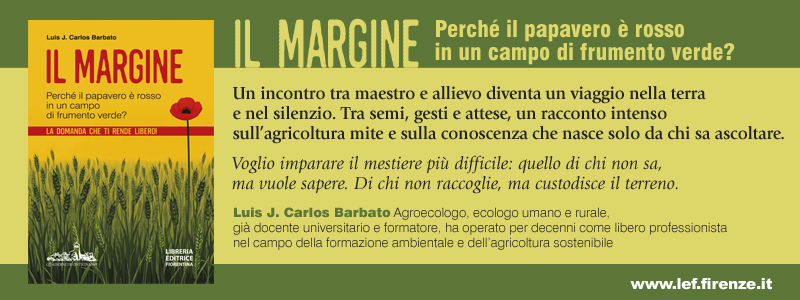 Il Margine