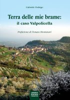 Terra delle mie brame: il caso Valpolicella